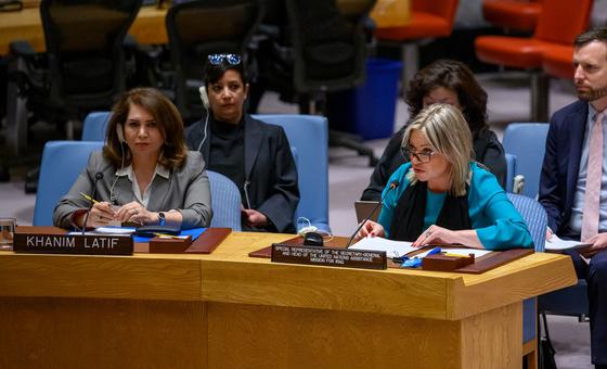 Despite gains, Iraq has not yet ‘turned the corner’, Security Council hears